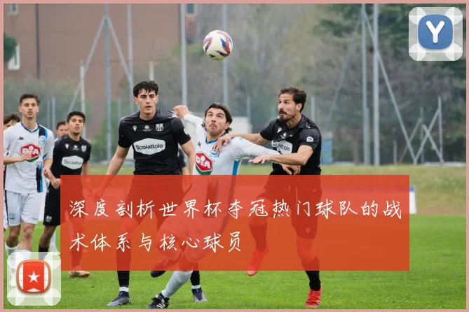 深度剖析世界杯夺冠热门球队的战术体系与核心球员