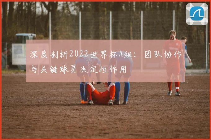 深度剖析2022世界杯A组：团队协作与关键球员决定性作用