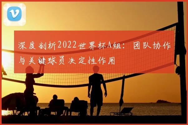 深度剖析2022世界杯A组：团队协作与关键球员决定性作用