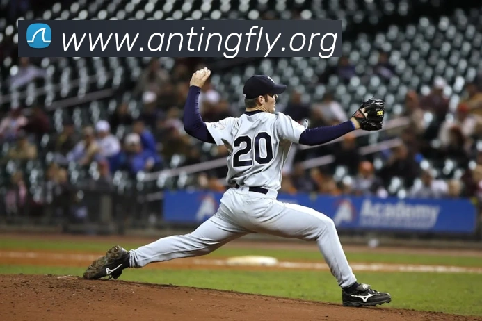 开体育app官网下载最新版平台生态图