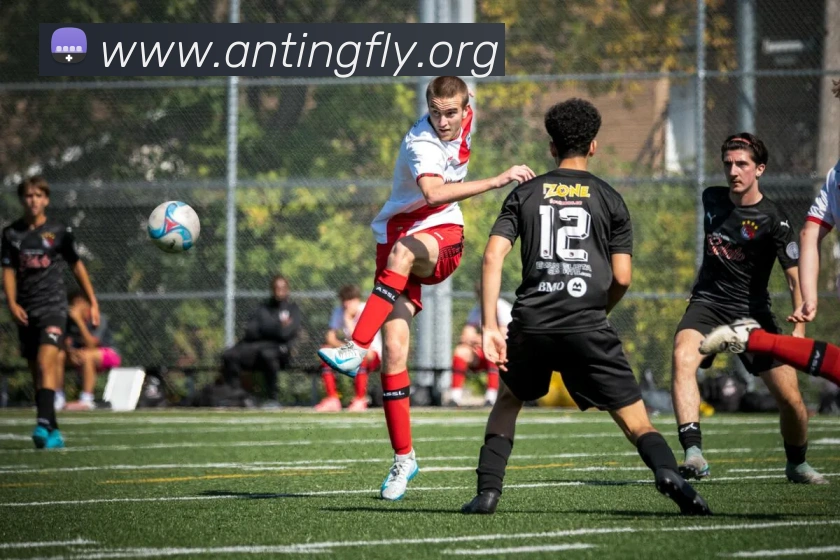 开体育app官网下载最新版APP 封面图